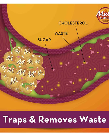 Metamucil Fibre Supplement Regular 72 Dose 504g
