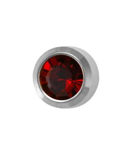 January Stainless Steel Bezel - Garnet