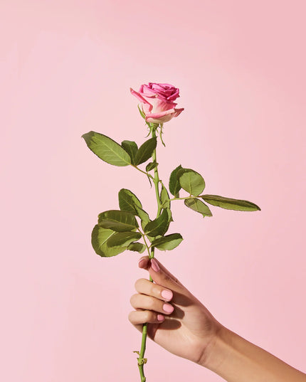 Natio Rosewater Hydration Antioxidant Micellar Cleansing Water 250ml