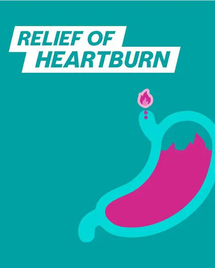 Gaviscon Core Aniseed Liquid Heartburn & Indigestion Relief 600ml